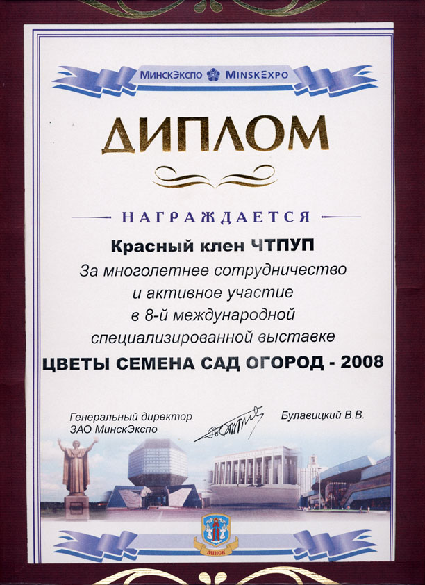 Наши дипломы